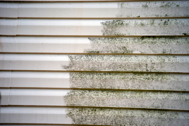 Best Furniture Removal  in Lochearn, MD